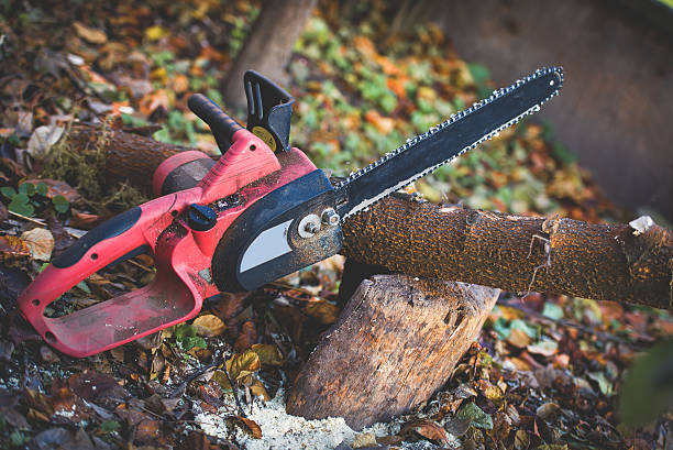 Best Seasonal Cleanup (Spring/Fall)  in New Richmond, WI
